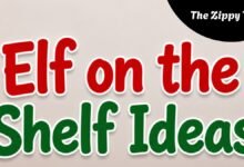 Elf on the Shelf Ideas