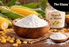 Starch of Maize