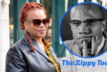 gamilah lumumba shabazz